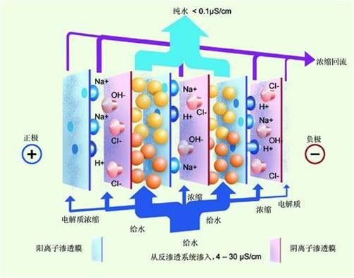 依斯倍詳解電滲析原理