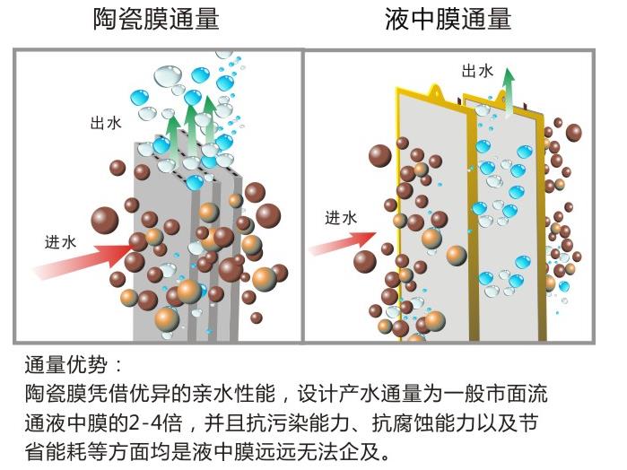 專業(yè)的水處理公司