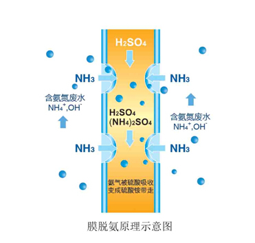 氨氮廢水處理工程中所應(yīng)用的脫氨技術(shù)