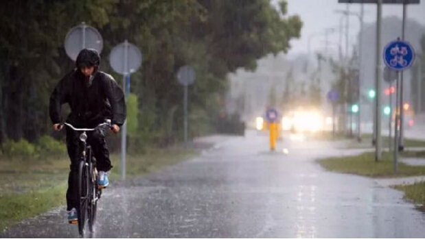 趣味科普：荷蘭人下雨天不打傘