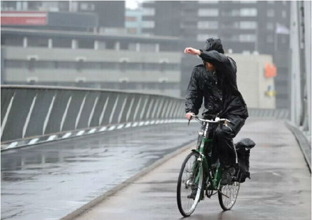 趣味科普：荷蘭人下雨天不打傘